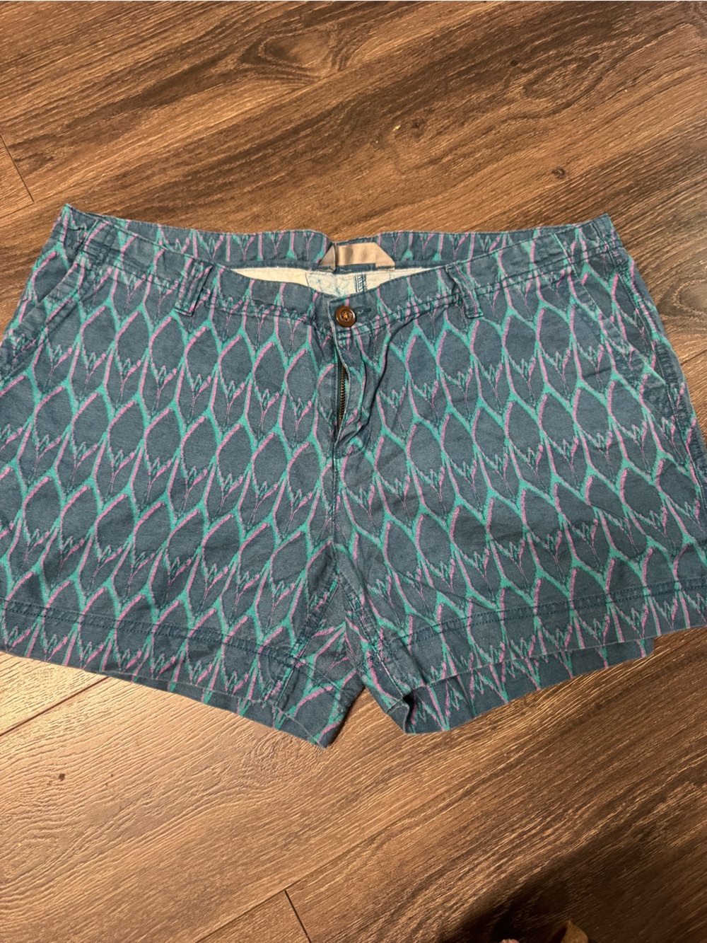 The North Face Teal and Purple Patterned Shorts